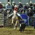 UT Martinâ€™s 50th Annual Spring College Rodeo A Rousing Success